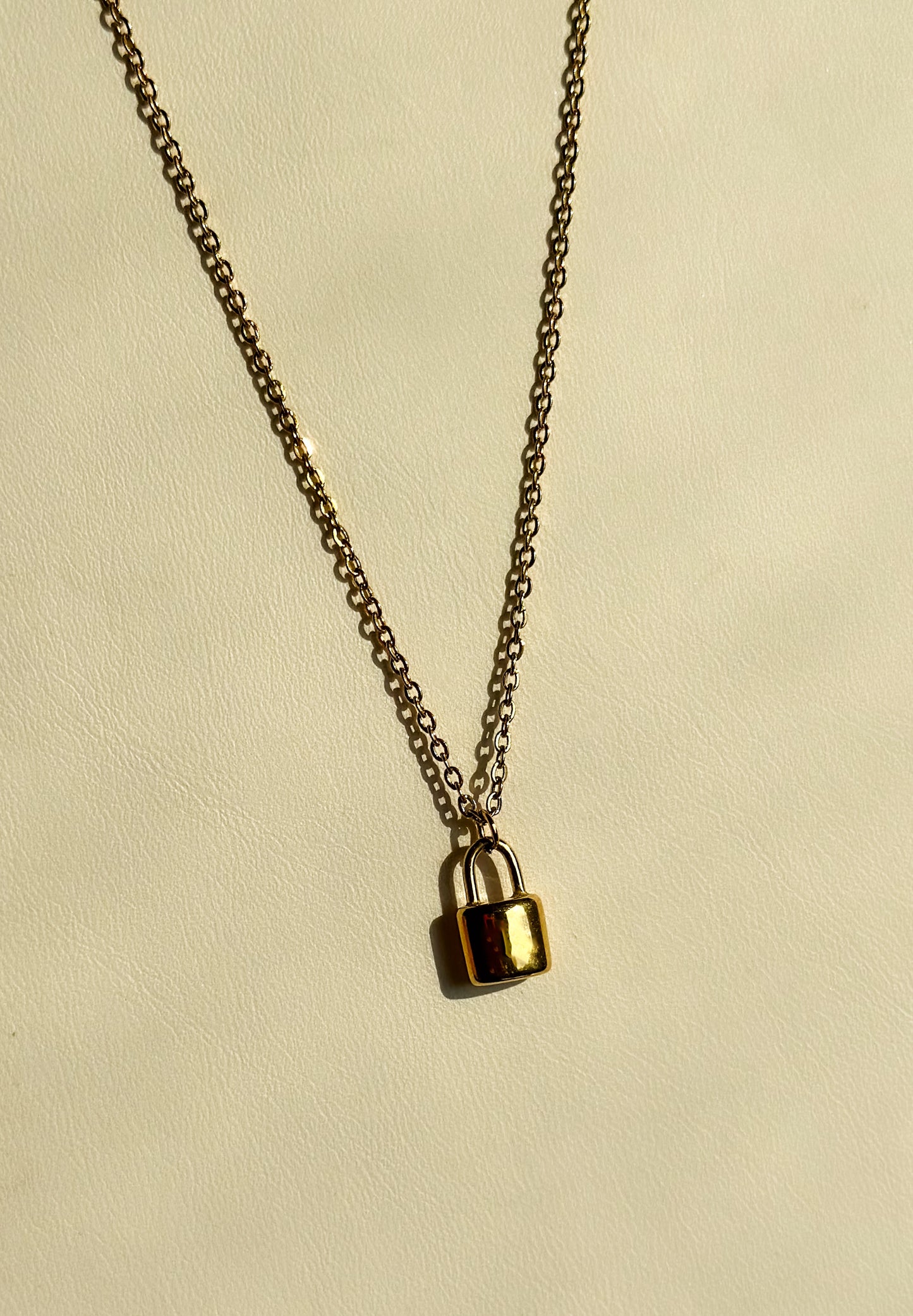 Locked In Necklace
